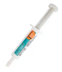 Biozyme Vitalize Equine Recovery Gel – Fast-Acting Post-Exercise Support 1