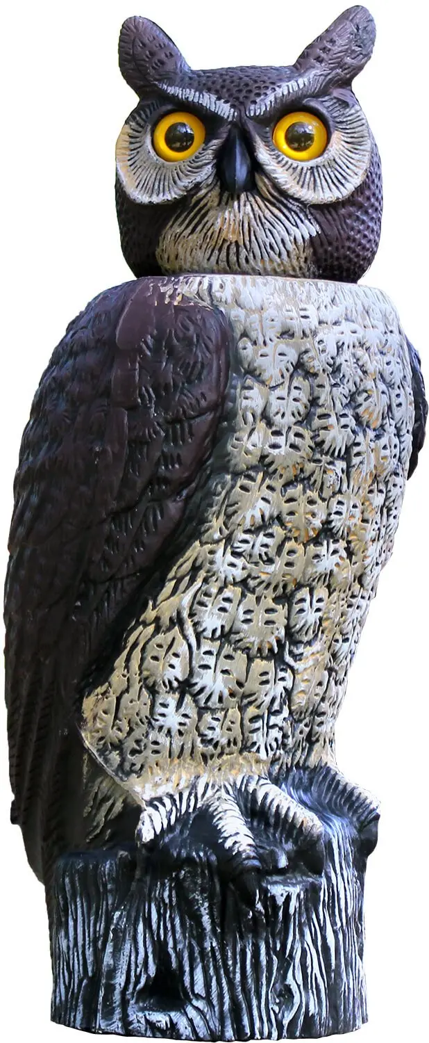 Dalen Rotating Owl Scarecrow For Pest Deterrence 1