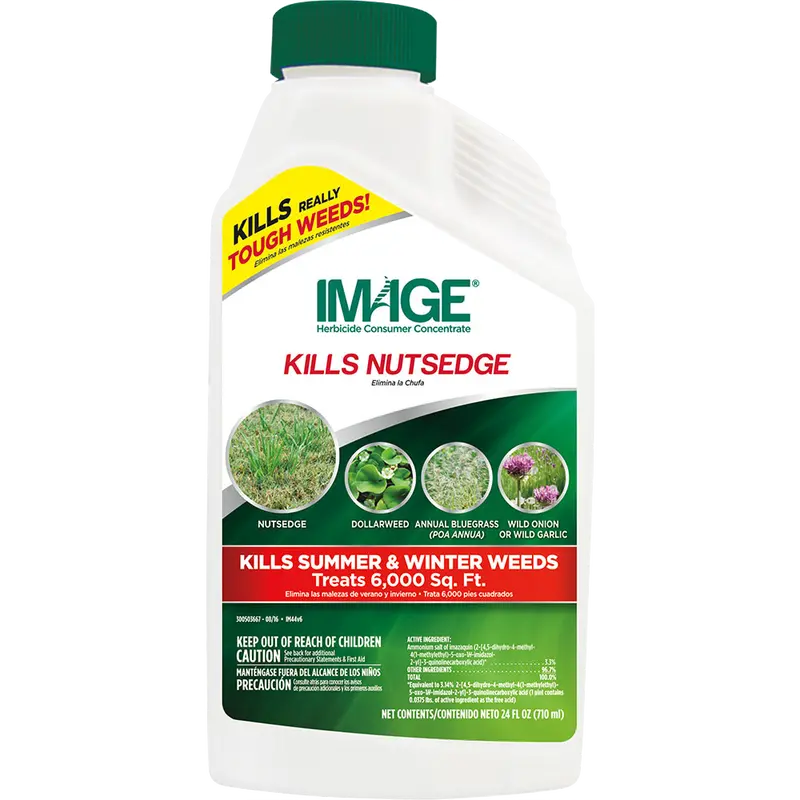 Image Nutgrass Killer Concentrate – Targeted Sedge Control 1