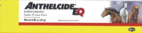 Zoetis Anthelcide Eq Paste Dewormer For Horses 1